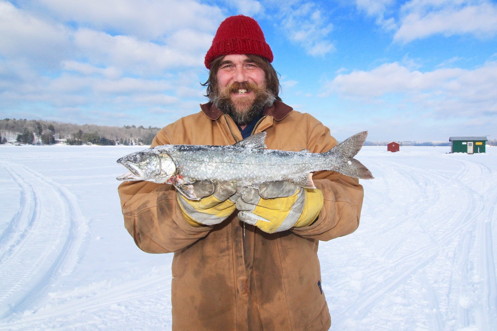 Bearded man in a red toque holds a trout freshly caught from the frozen lake underfoot.